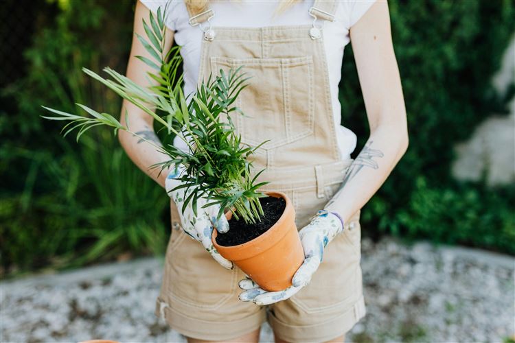 Florist som är tillfreds då hon precis fått starta eget-bidrag.